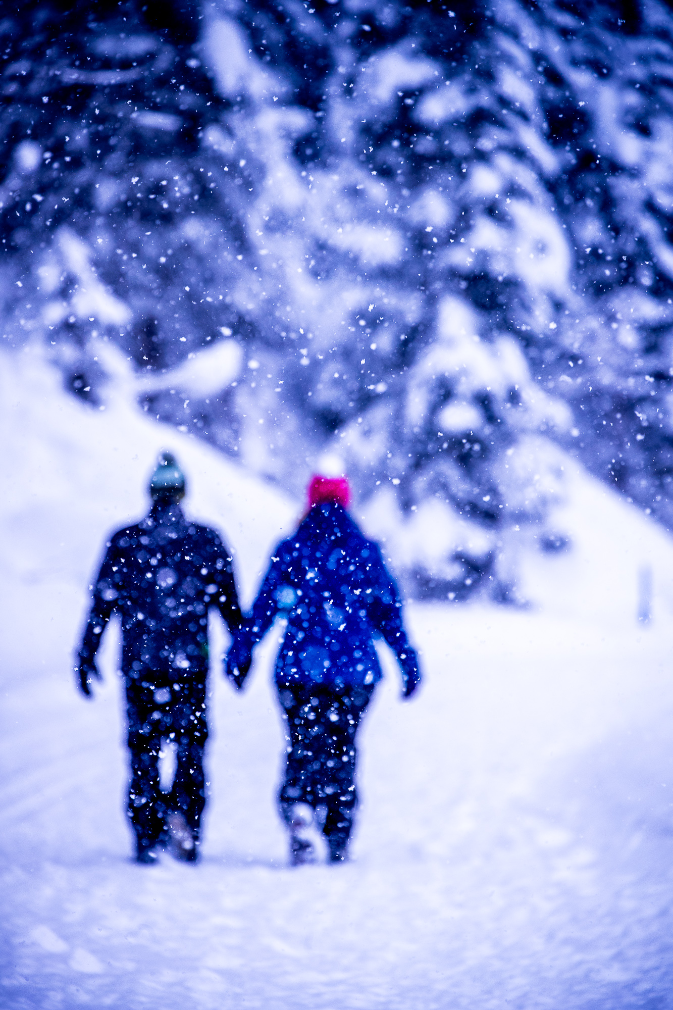 Export x3 1DX29370 Verlobungsfotoshooting 2018 Anna & Dominik 3